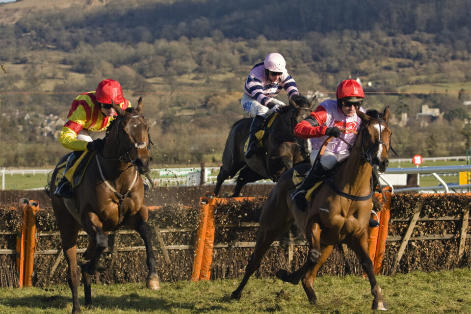 Cheltenham Racecourse 2026/7 Race Days